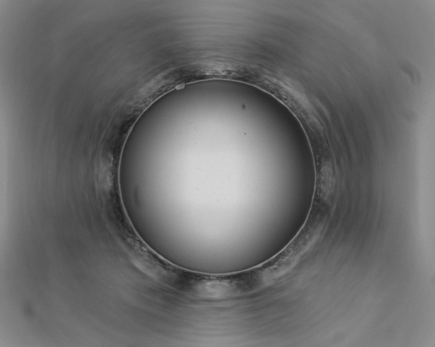 X0000113020413200908271437