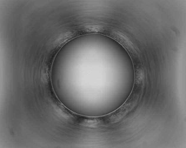X0000113020414200908271437