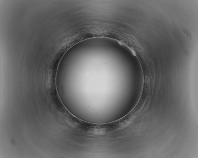 X0000113020416200908271437