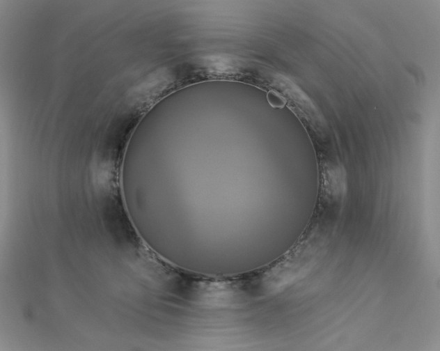 X0000113020419200908271437