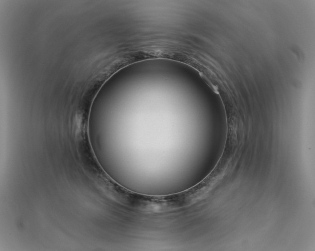 X0000113020420200908271437