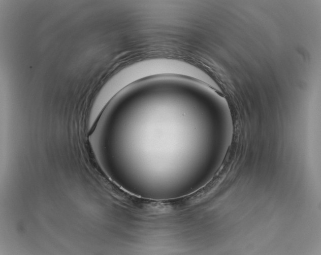 X0000113020421200908271437
