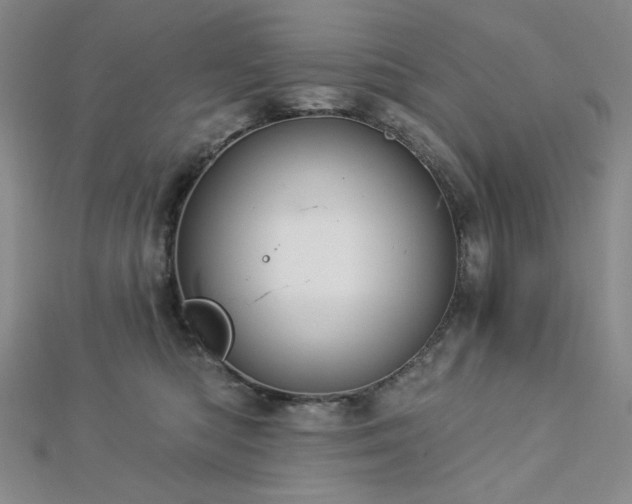 X0000113020422200908271437