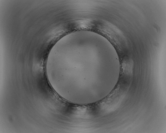 X0000113020423200908271437