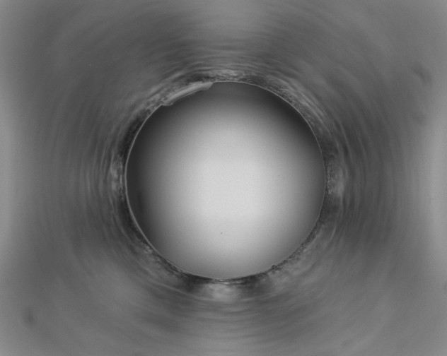 X0000113020425200908271437