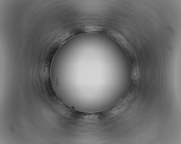 X0000113020426200908271437