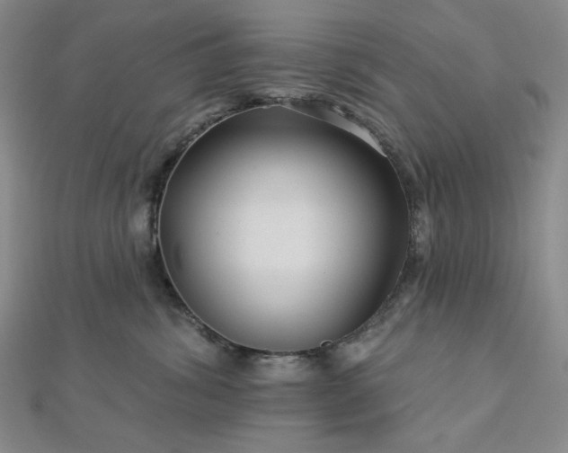 X0000113020428200908271437