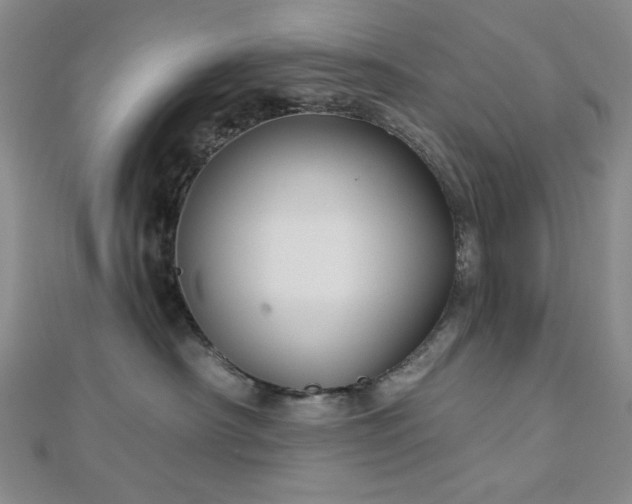 X0000113020430200908271437