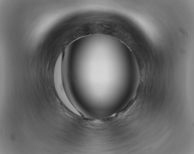 X0000113020431200908271437