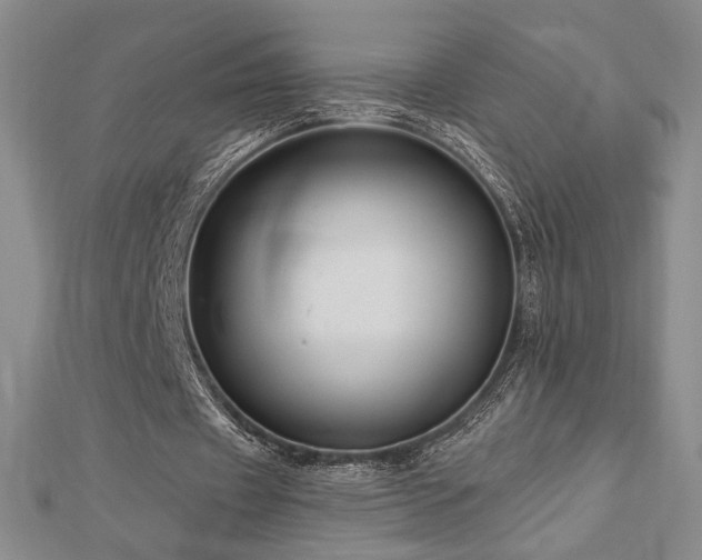 X0000113020433200908271436