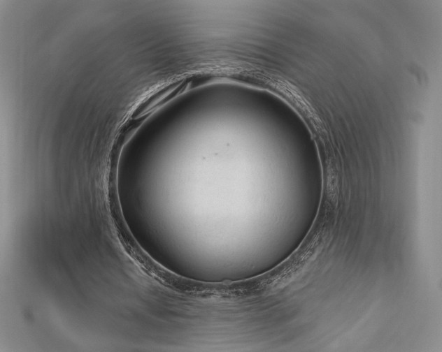 X0000113020434200908271436