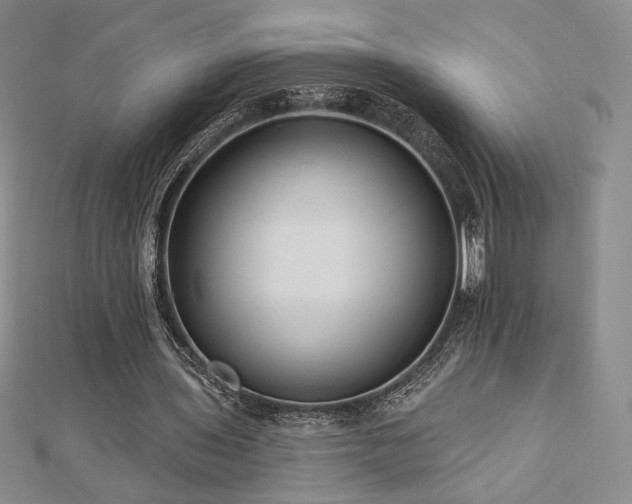 X0000113020435200908271436