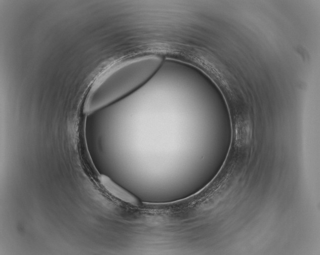 X0000113020436200908271436