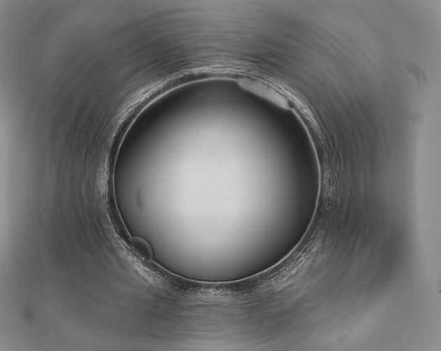X0000113020437200908271436