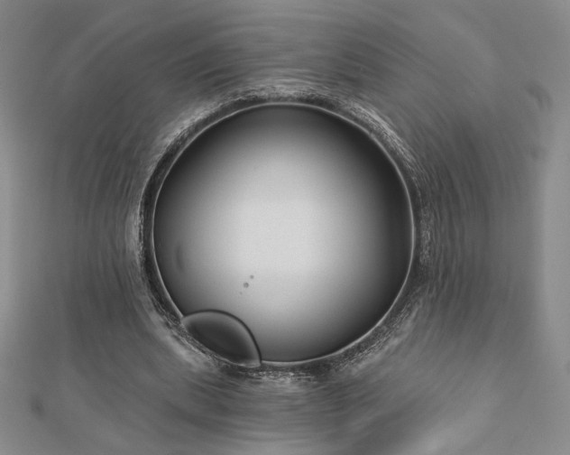 X0000113020439200908271436