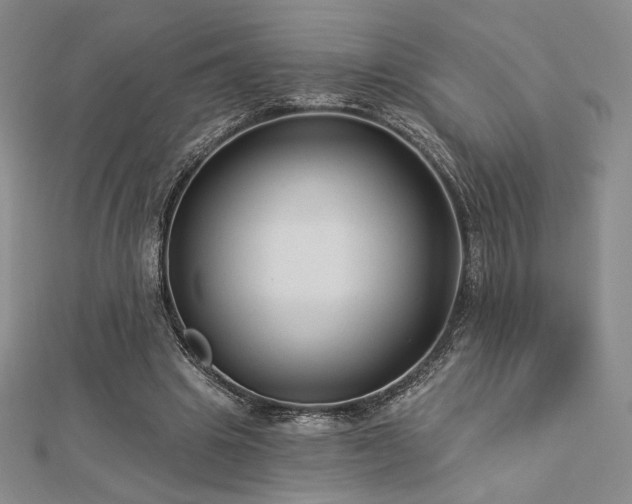 X0000113020441200908271437