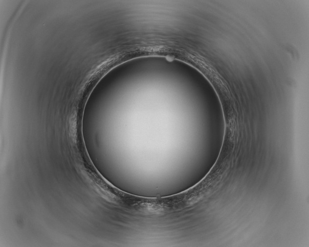 X0000113020442200908271437
