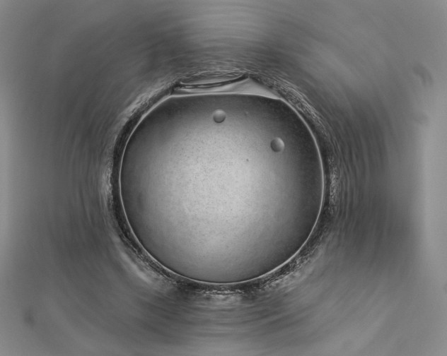 X0000113020443200908271437