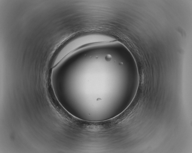 X0000113020444200908271437