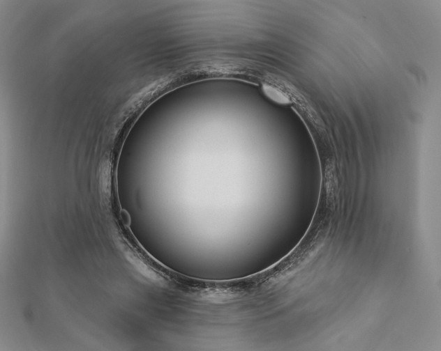 X0000113020445200908271437