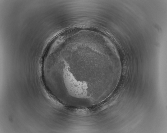 X0000113020446200908271437