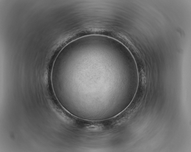 X0000113020447200908271437