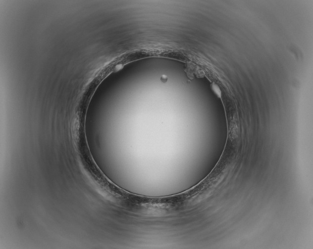 X0000113020448200908271437