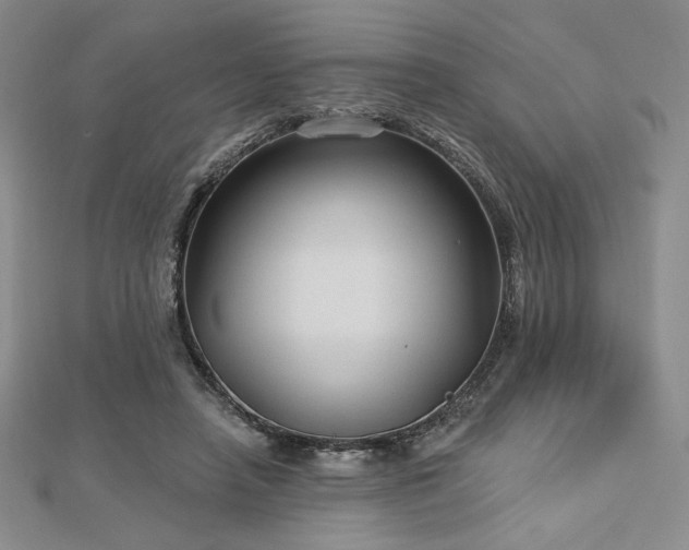 X0000113020450200908271437