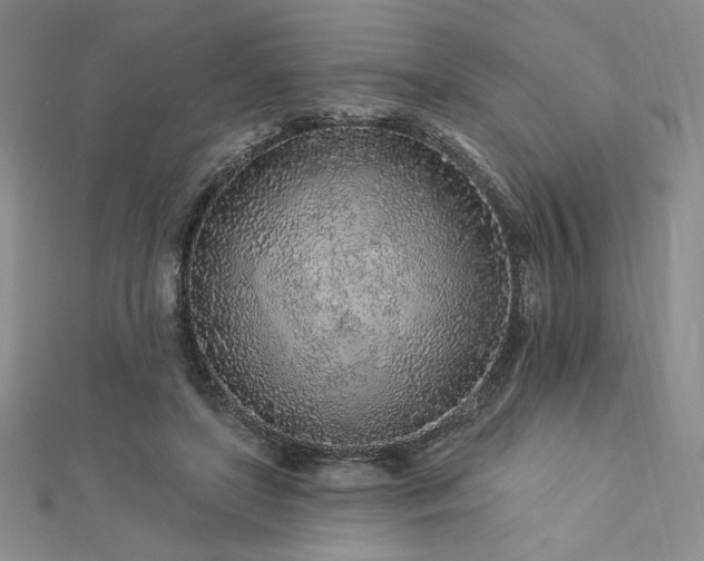 X0000113020451200908271437