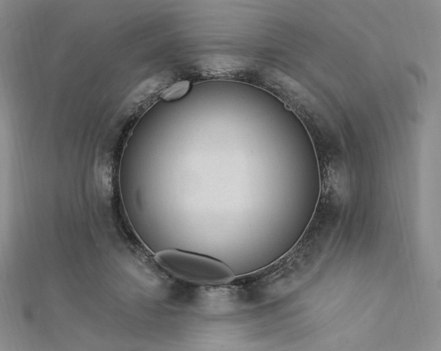 X0000113020452200908271437