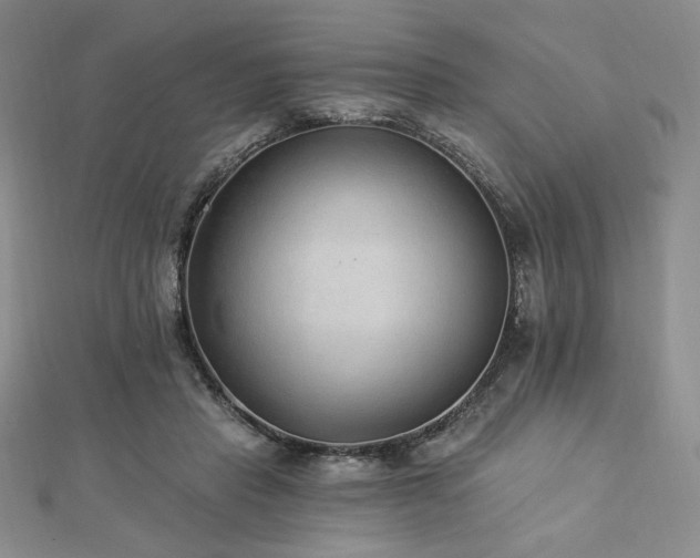 X0000113020453200908271437