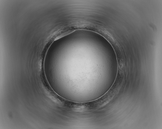 X0000113020454200908271437