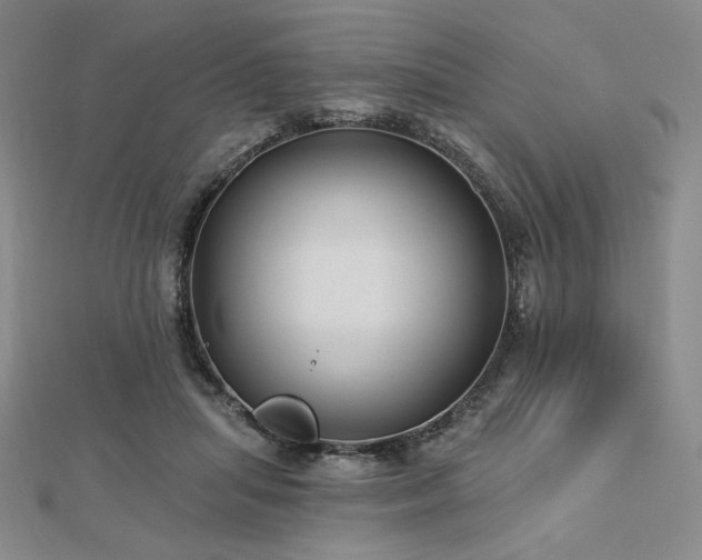 X0000113020455200908271437