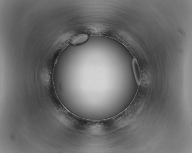X0000113020456200908271437
