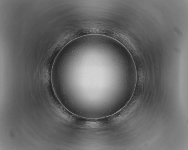 X0000113020457200908271437