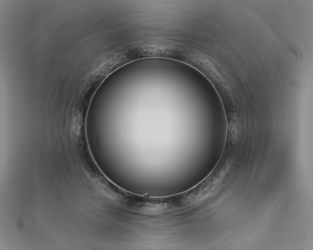 X0000113020458200908271437
