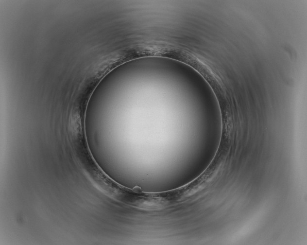X0000113020459200908271437