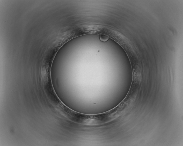 X0000113020460200908271437