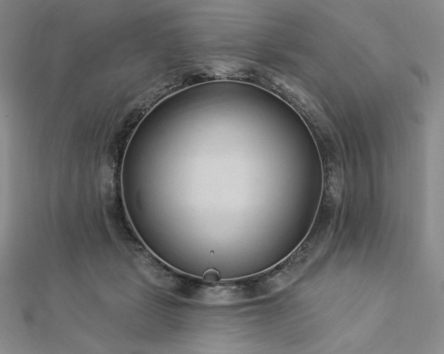 X0000113020461200908271437