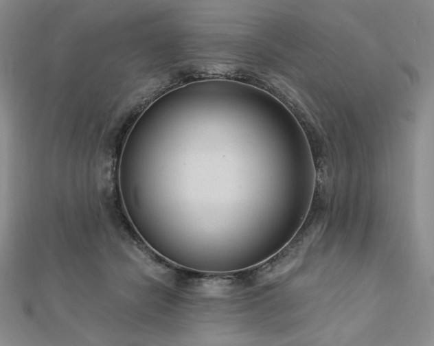 X0000113020462200908271437