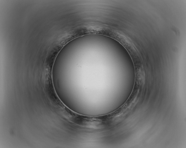 X0000113020463200908271437