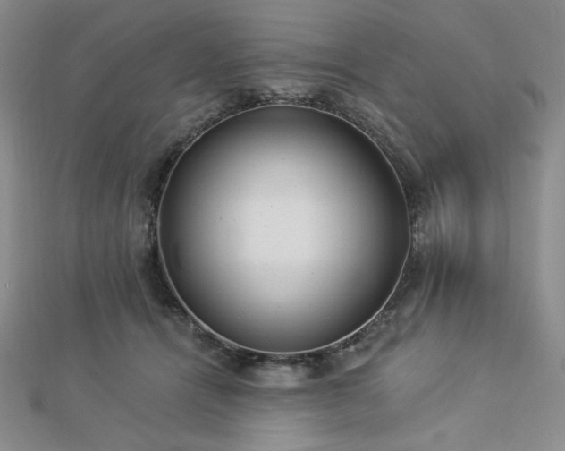 X0000113020464200908271437