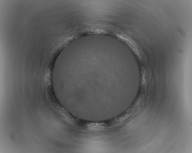 X0000113020465200908271437