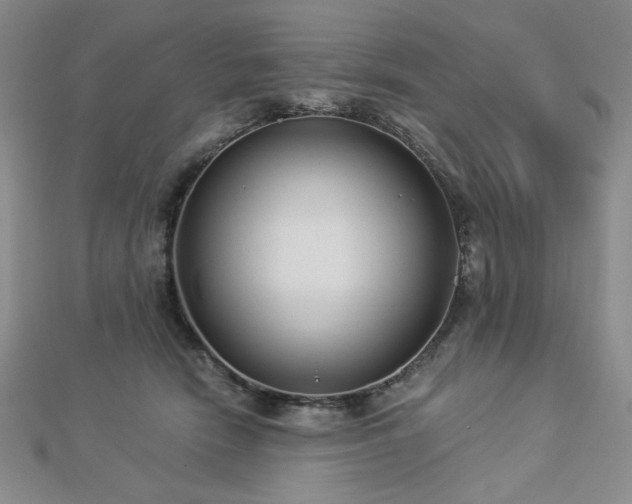 X0000113020466200908271437