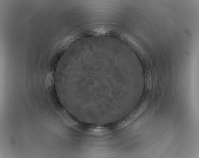 X0000113020467200908271437