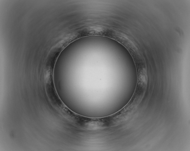 X0000113020468200908271437