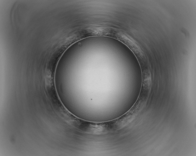 X0000113020469200908271437