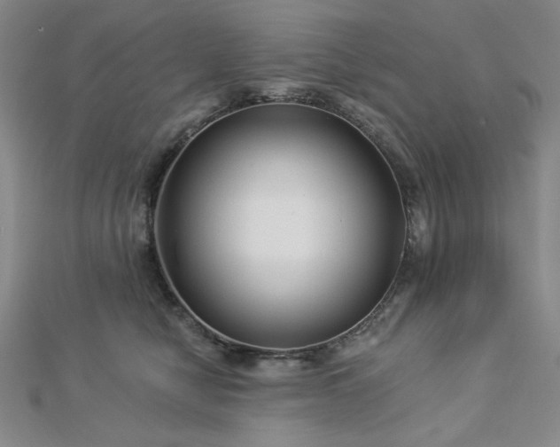 X0000113020470200908271437