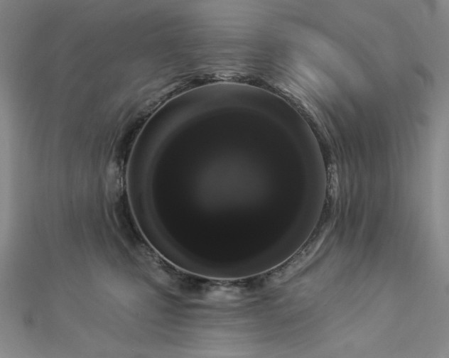 X0000113020471200908271437