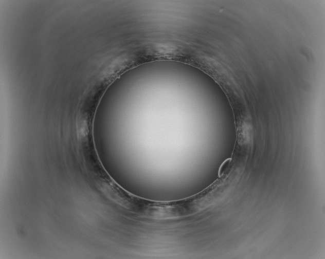 X0000113020472200908271437